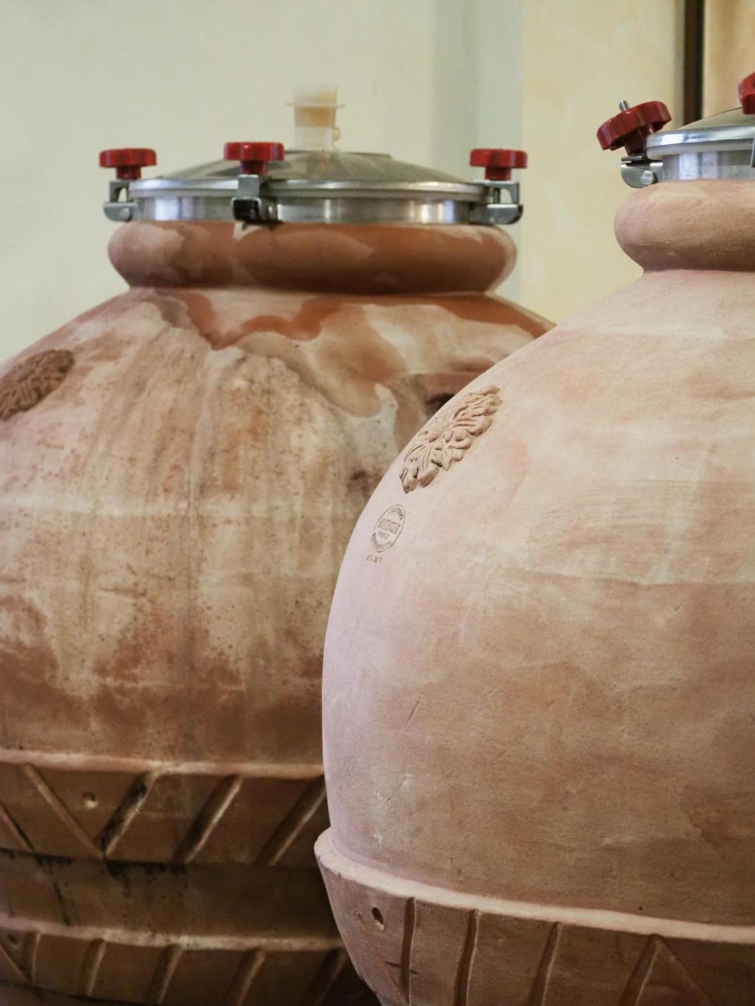 Azienda Agricola Ca' Lunga Cinto Euganeo Ngoại thất bức ảnh