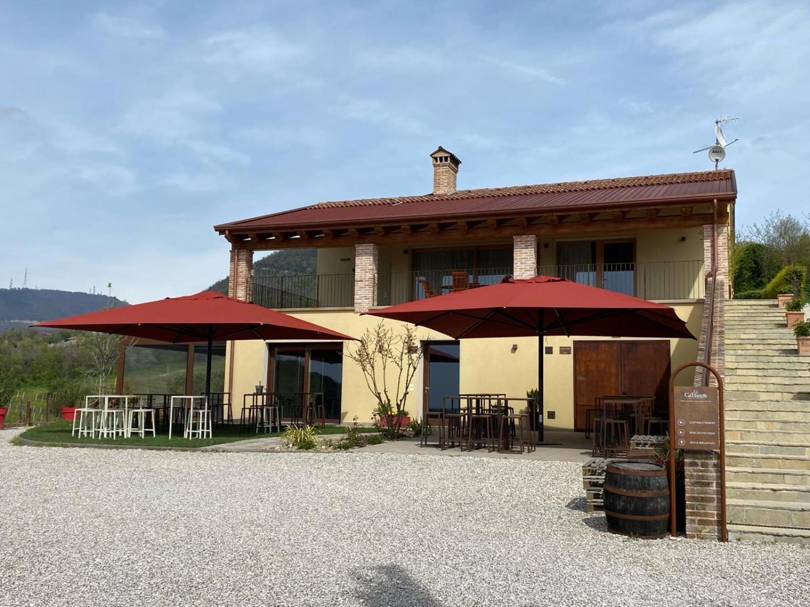 Azienda Agricola Ca' Lunga Cinto Euganeo Ngoại thất bức ảnh